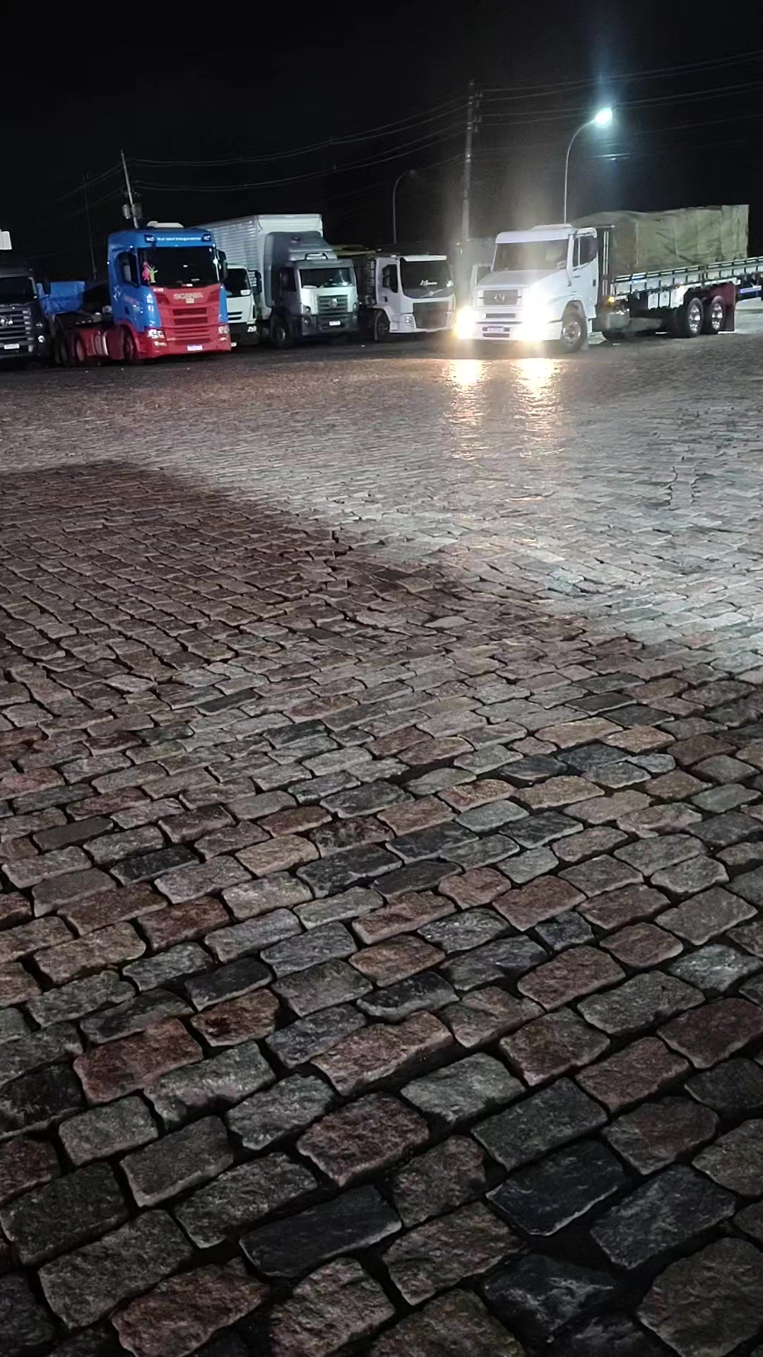 @Tigr&atilde;o 68