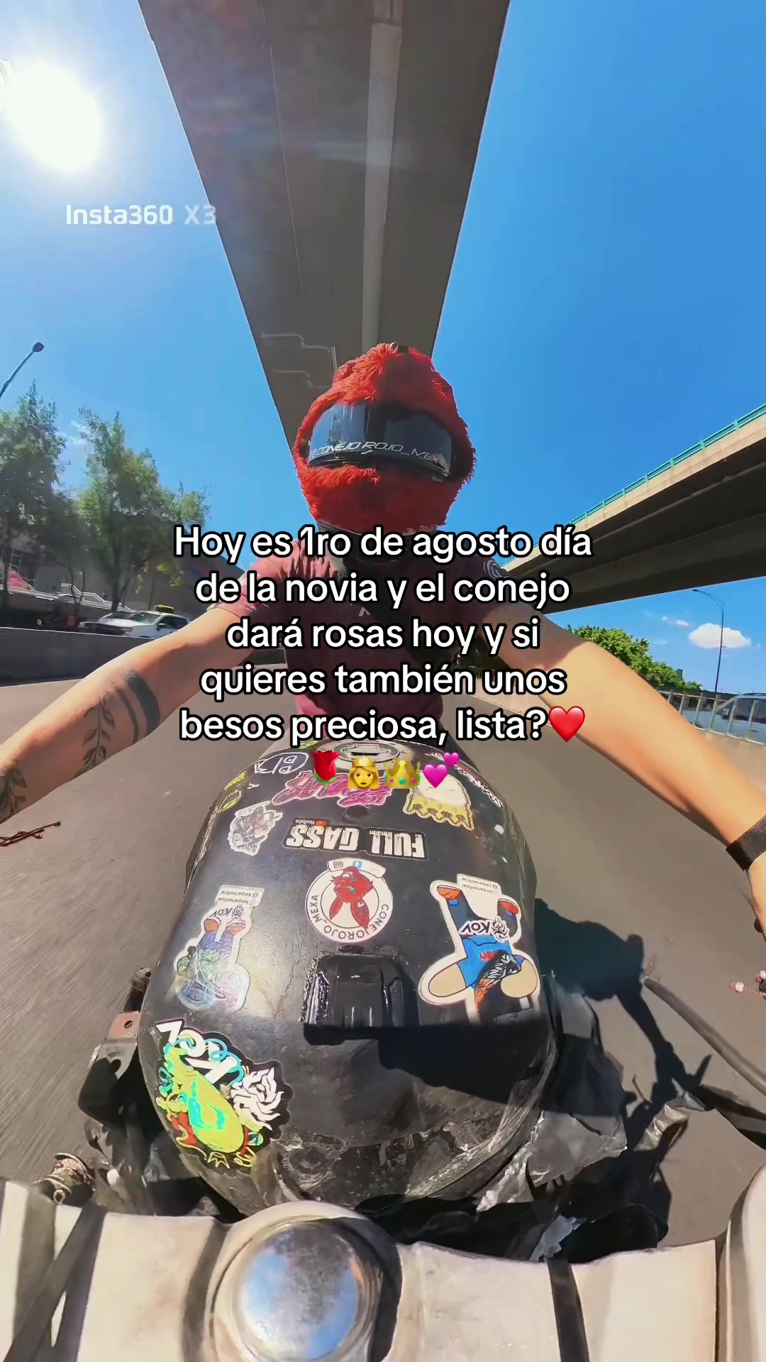 @CONEJOROJO_MEXA