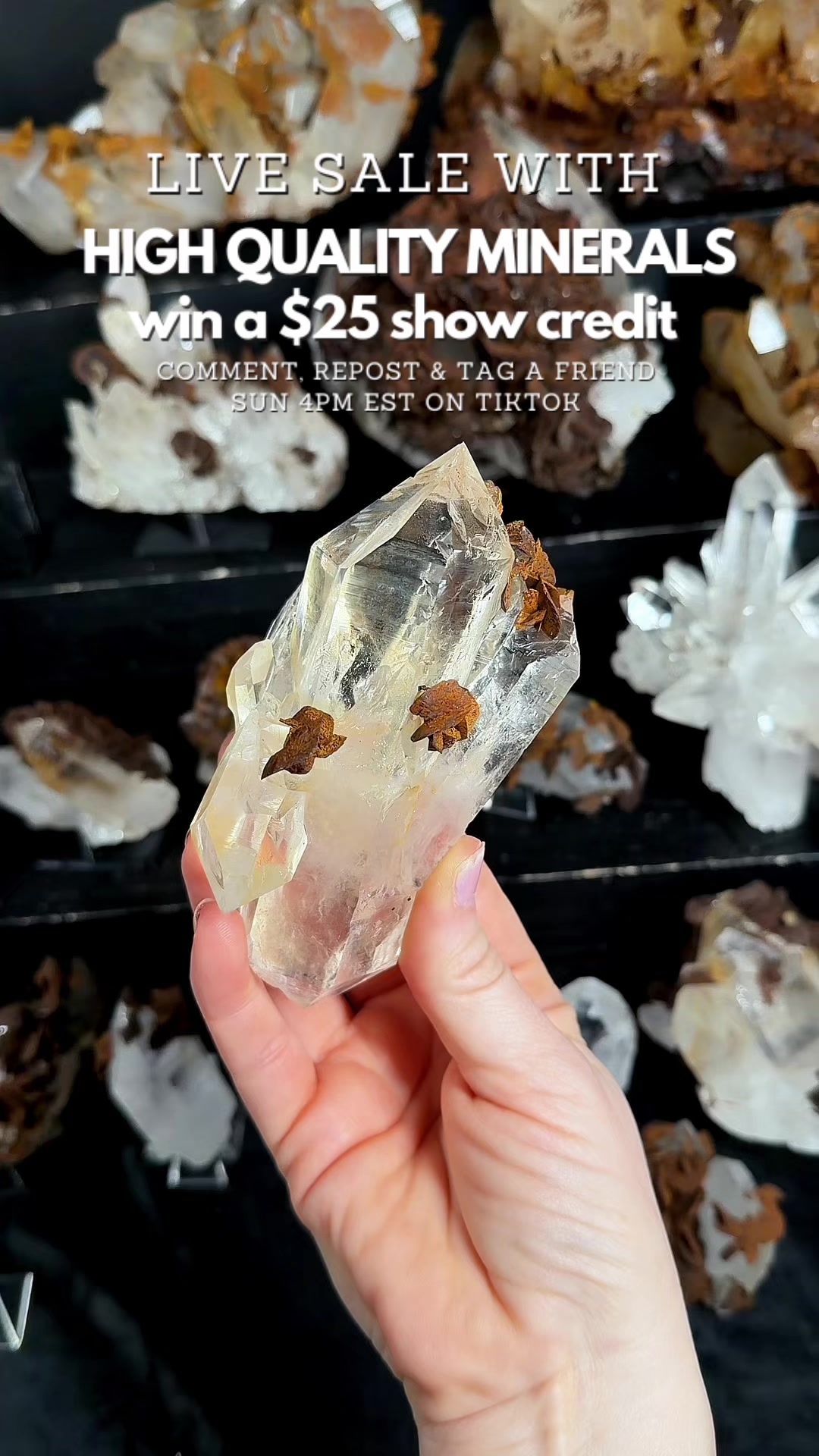@Crystal Live Emporium✨Natalie