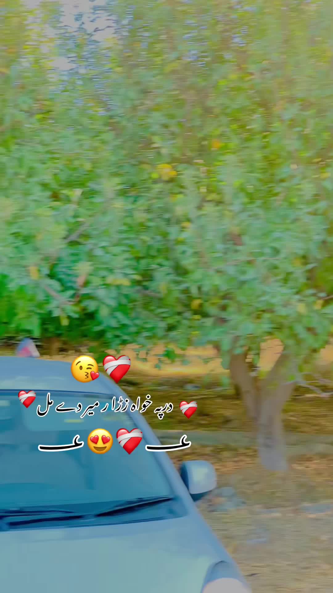 @❤️🩹{بادیزی}{خان}🚭