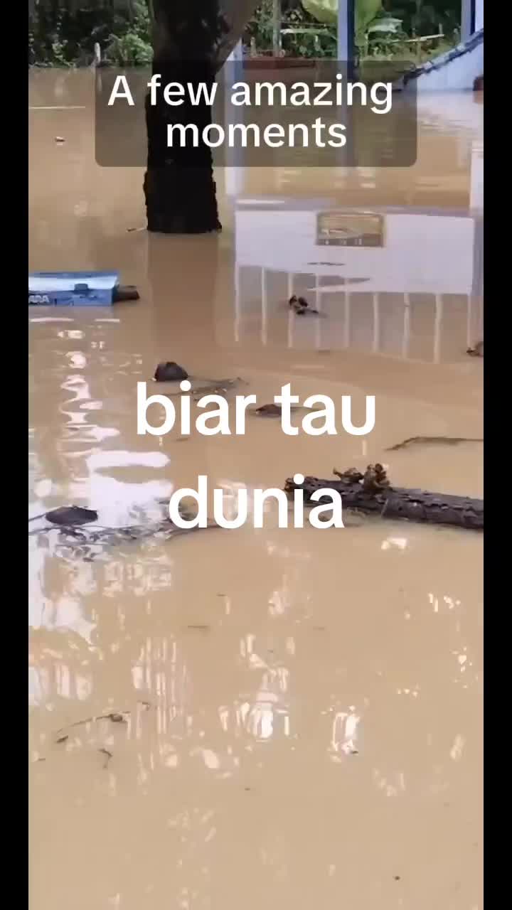 @arulalfan8