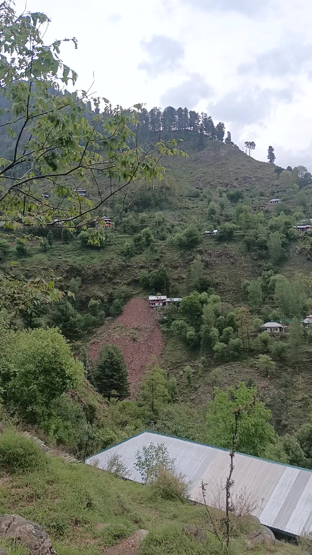 @🍁꧁༒☬ کشمیری ☬༒꧂🍁