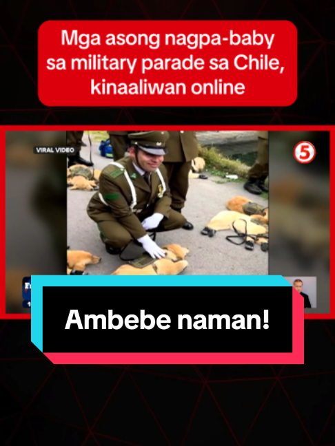 @News5