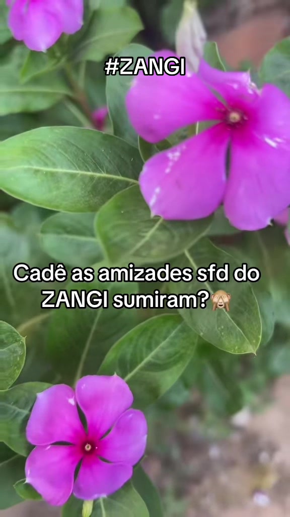@manuely