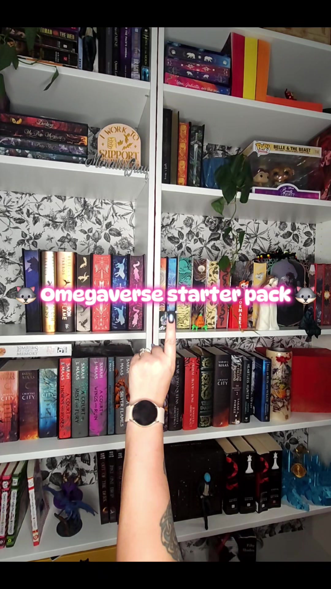 @TheWolfWithTheBooks