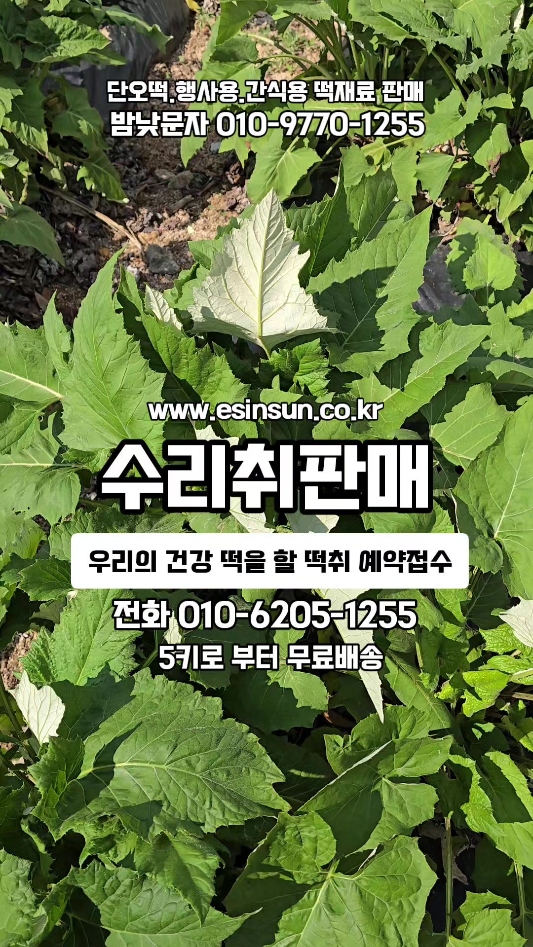 @🔥고물급남자