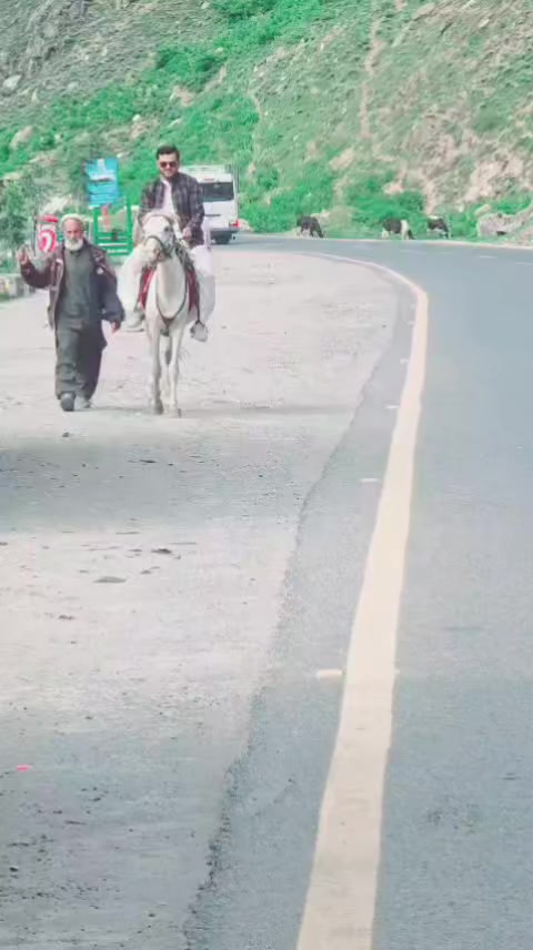 @ZULFI بلوچ ❤️🔥