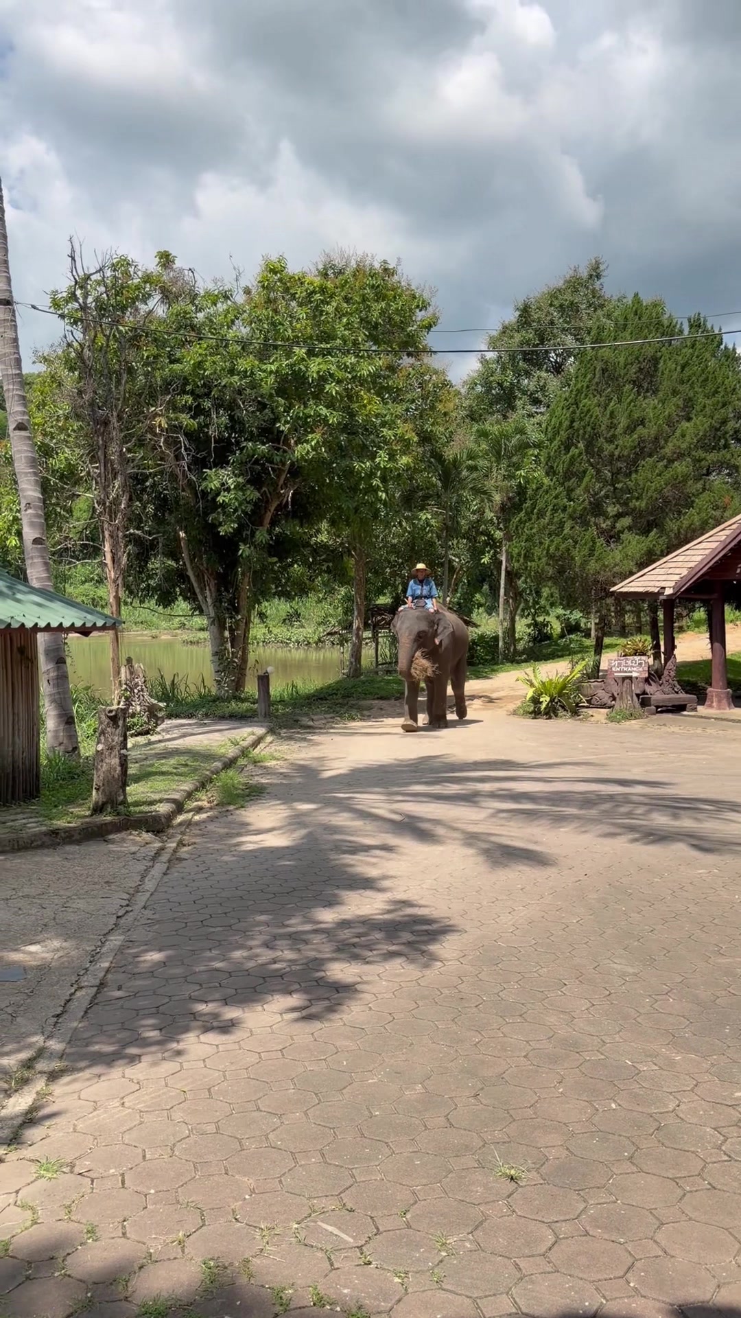 @Qvy Boonchanawiwat