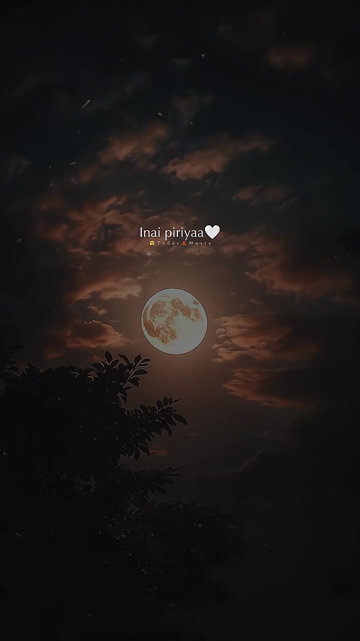 @๐ค๐๐๐๐๐ฒ๐งธ๐ฅ๐จ๐ฏ๐๐ซ√โ๐โ๏ธ