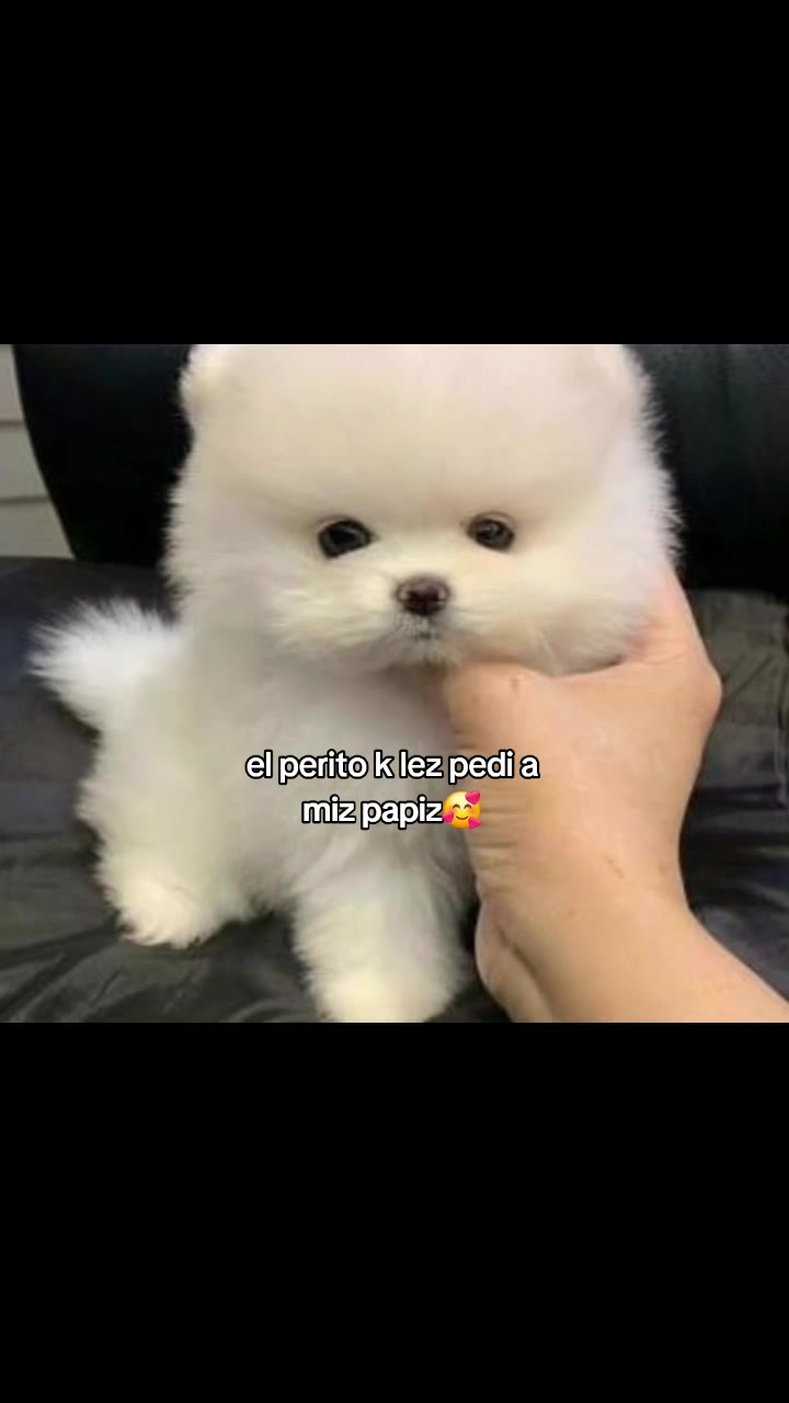 @~°.☆미카엘라☆.°~