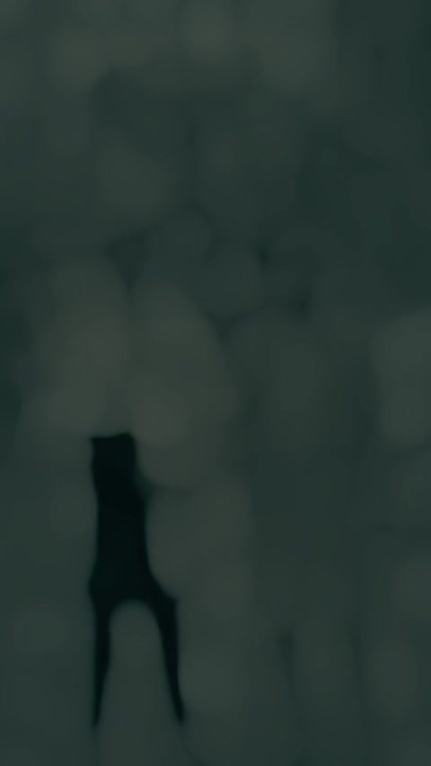 @𝙁𝘼𝙂𝙄 🐆