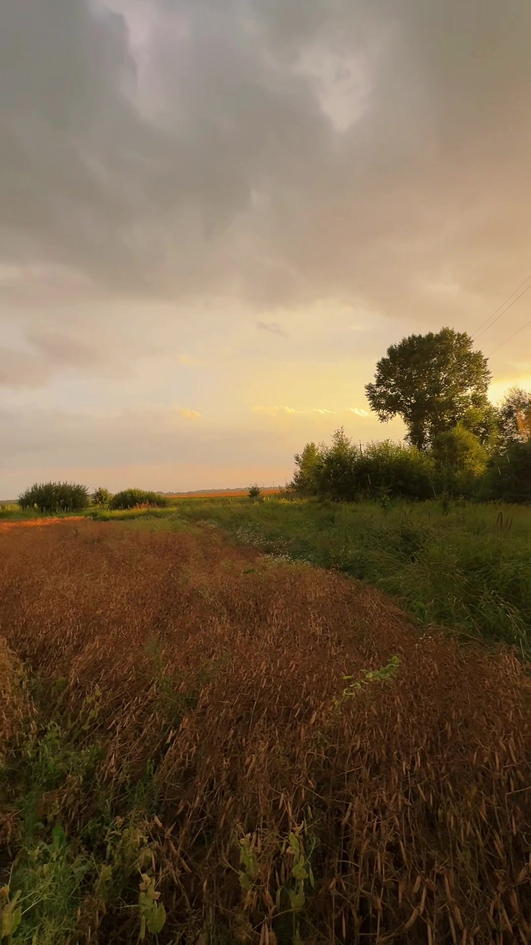 @Sasha🇺🇦John Deere🇺🇦🚜🌾🌽