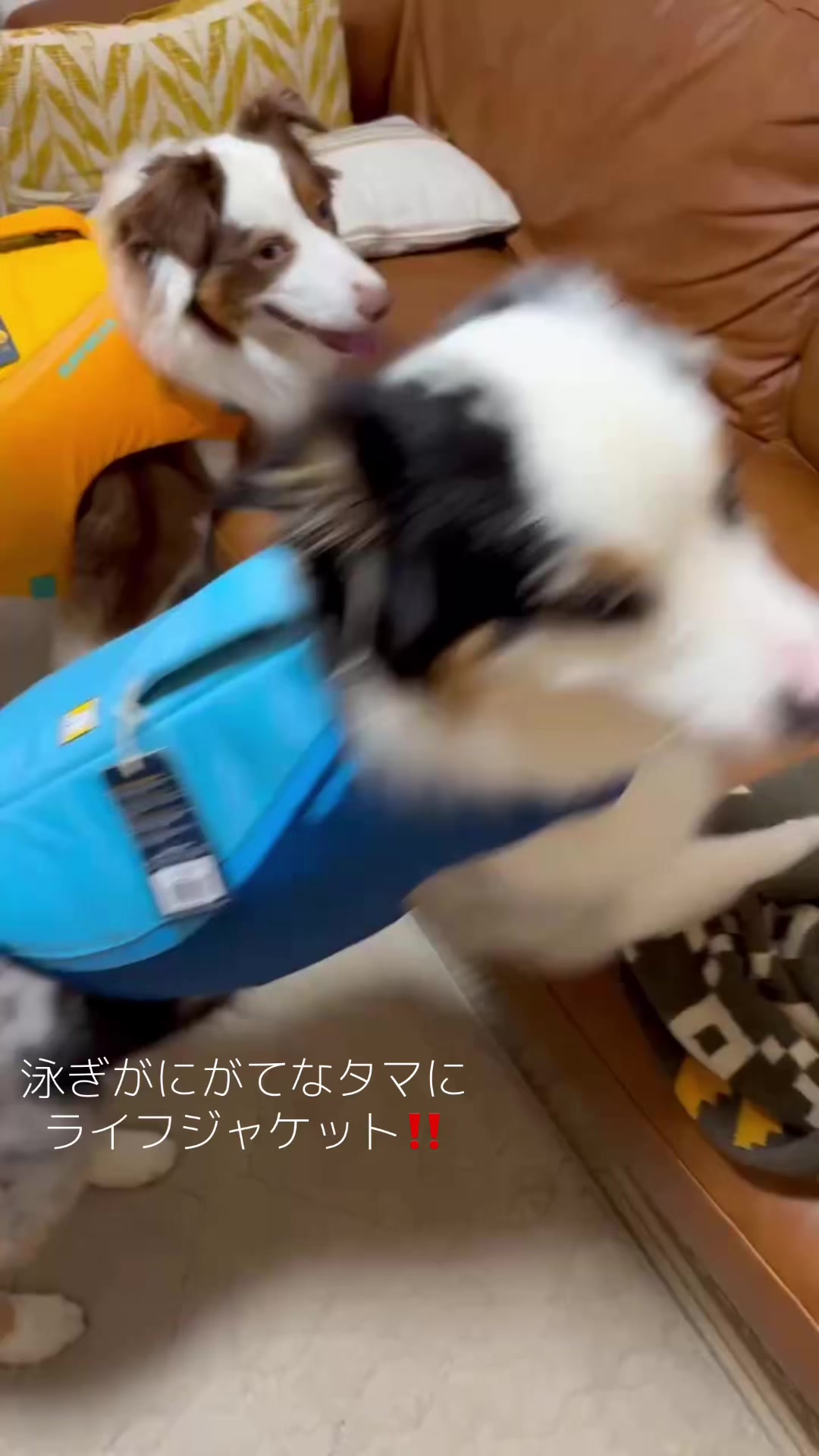 @サン&タマ