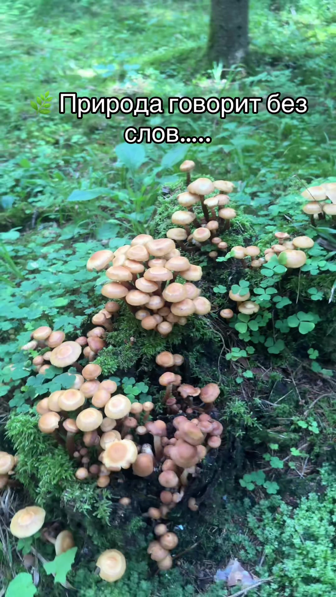 @LifeInFlow