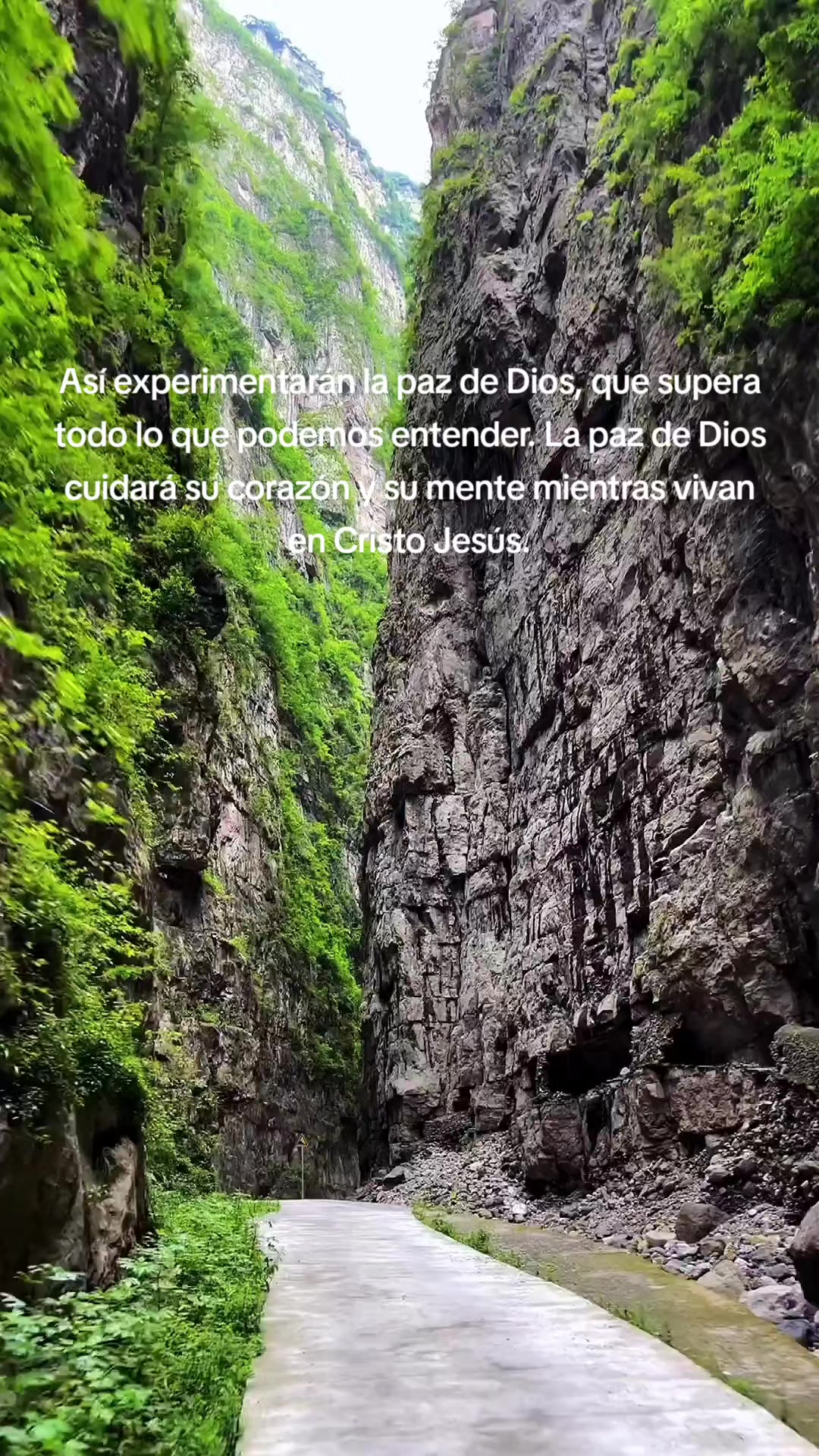 @Elfego Lopez