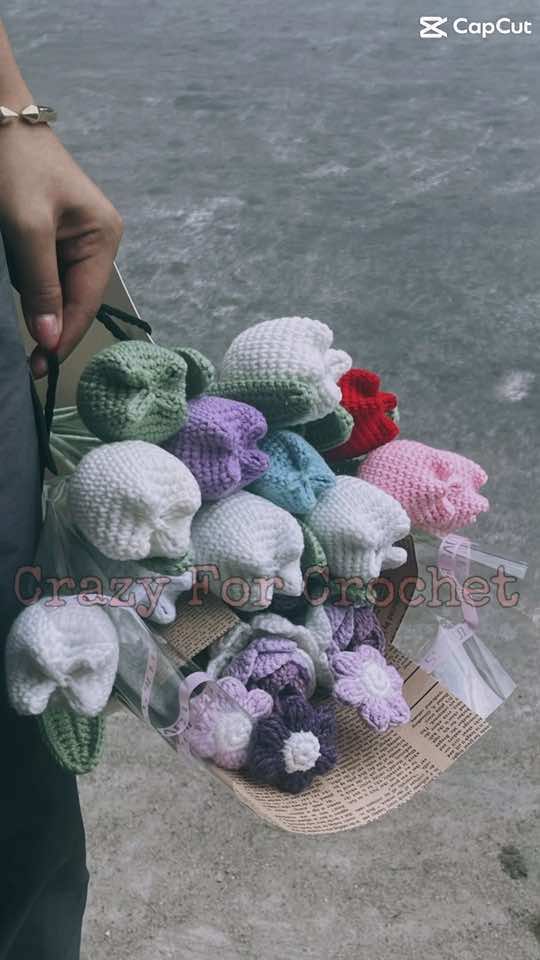 @Crazy For Crochet