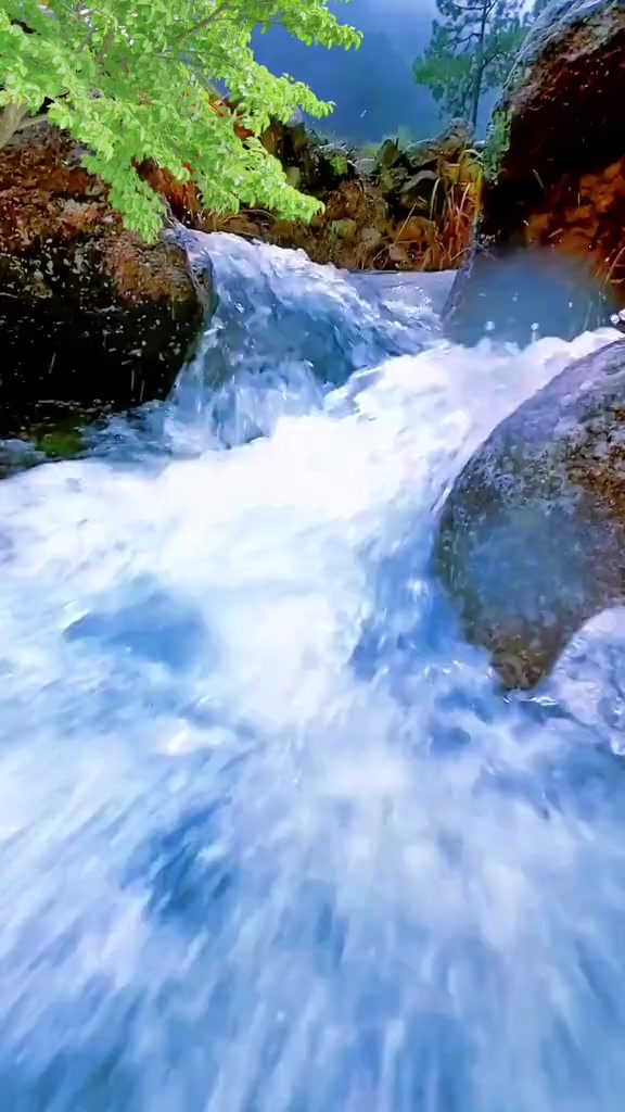 @𝐁𝐈𝐒𝐇𝐍𝐔 𝐃𝐄𝐕
