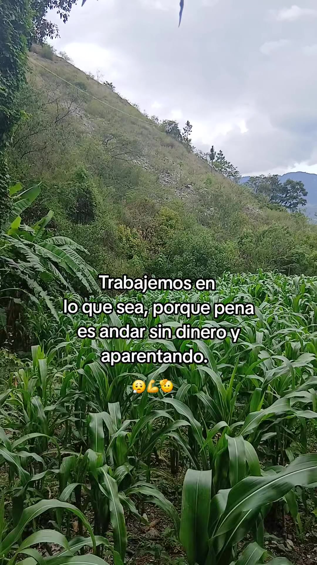 @🍒mribelvasquez
