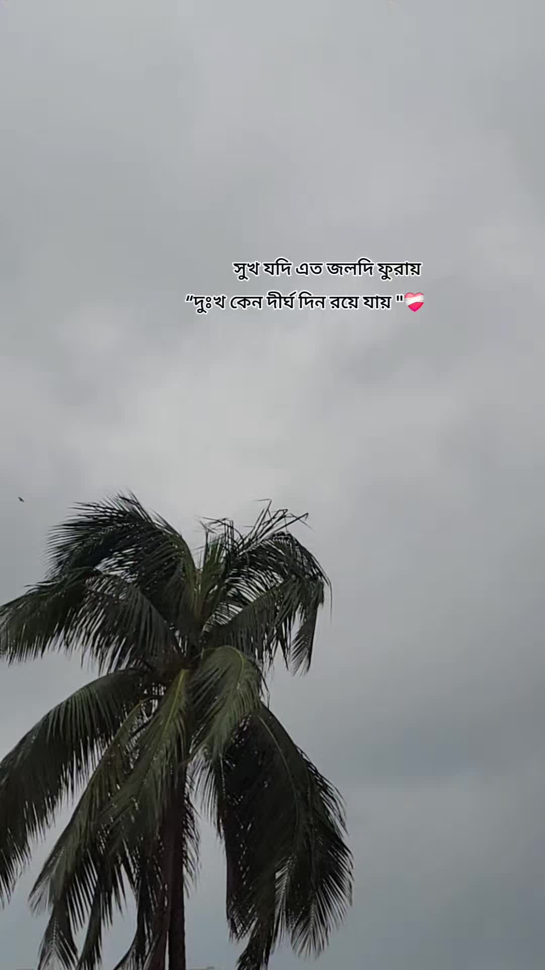 @Nabil