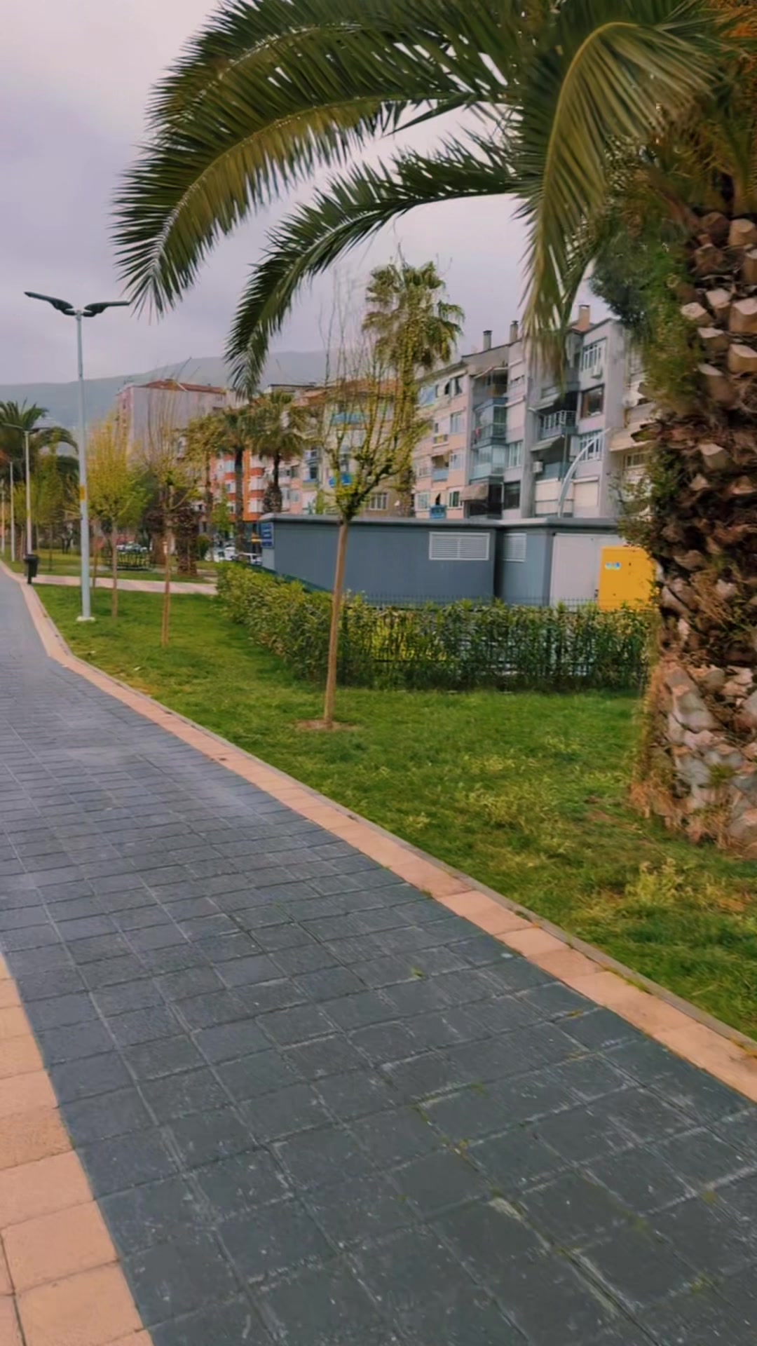 @ليمار ✨
