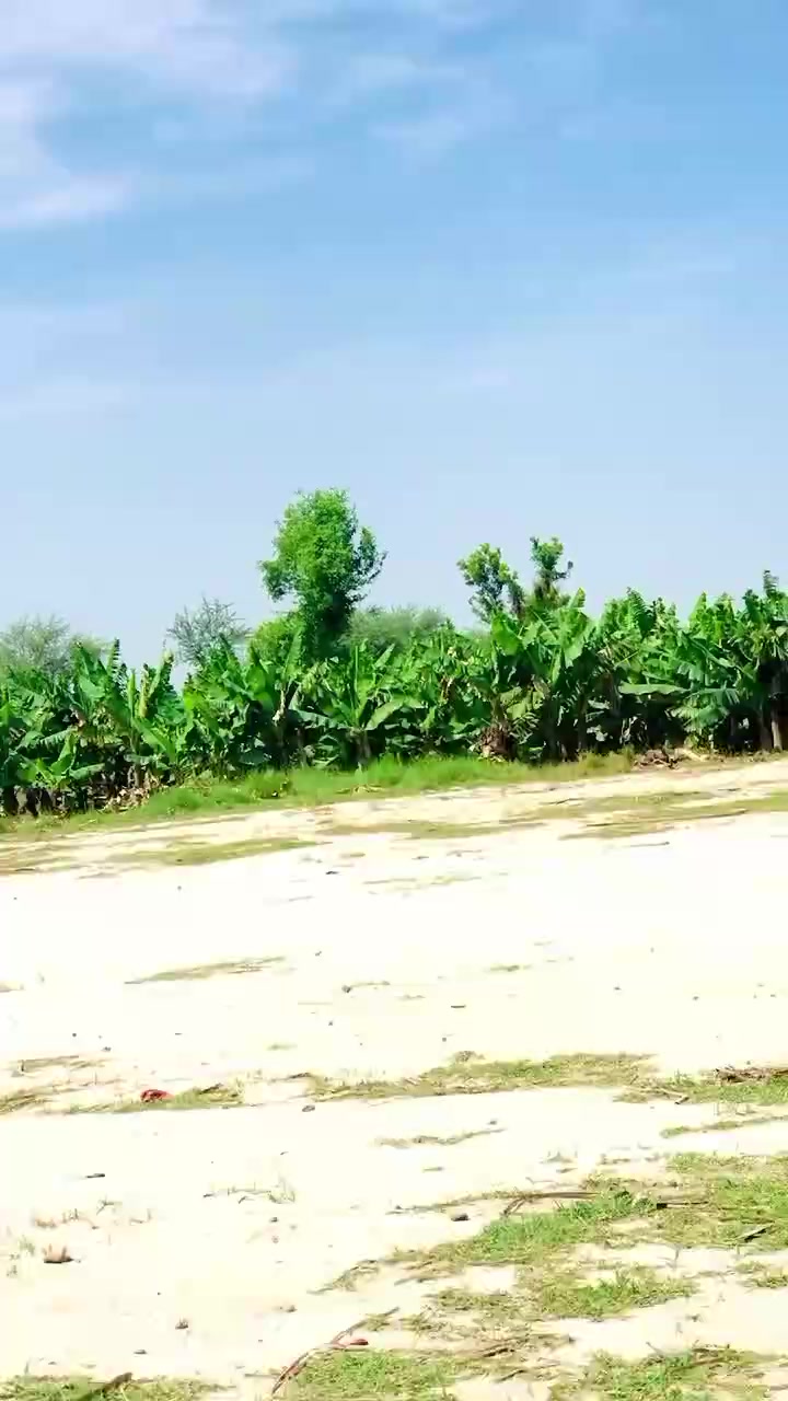 @MrKing110_2