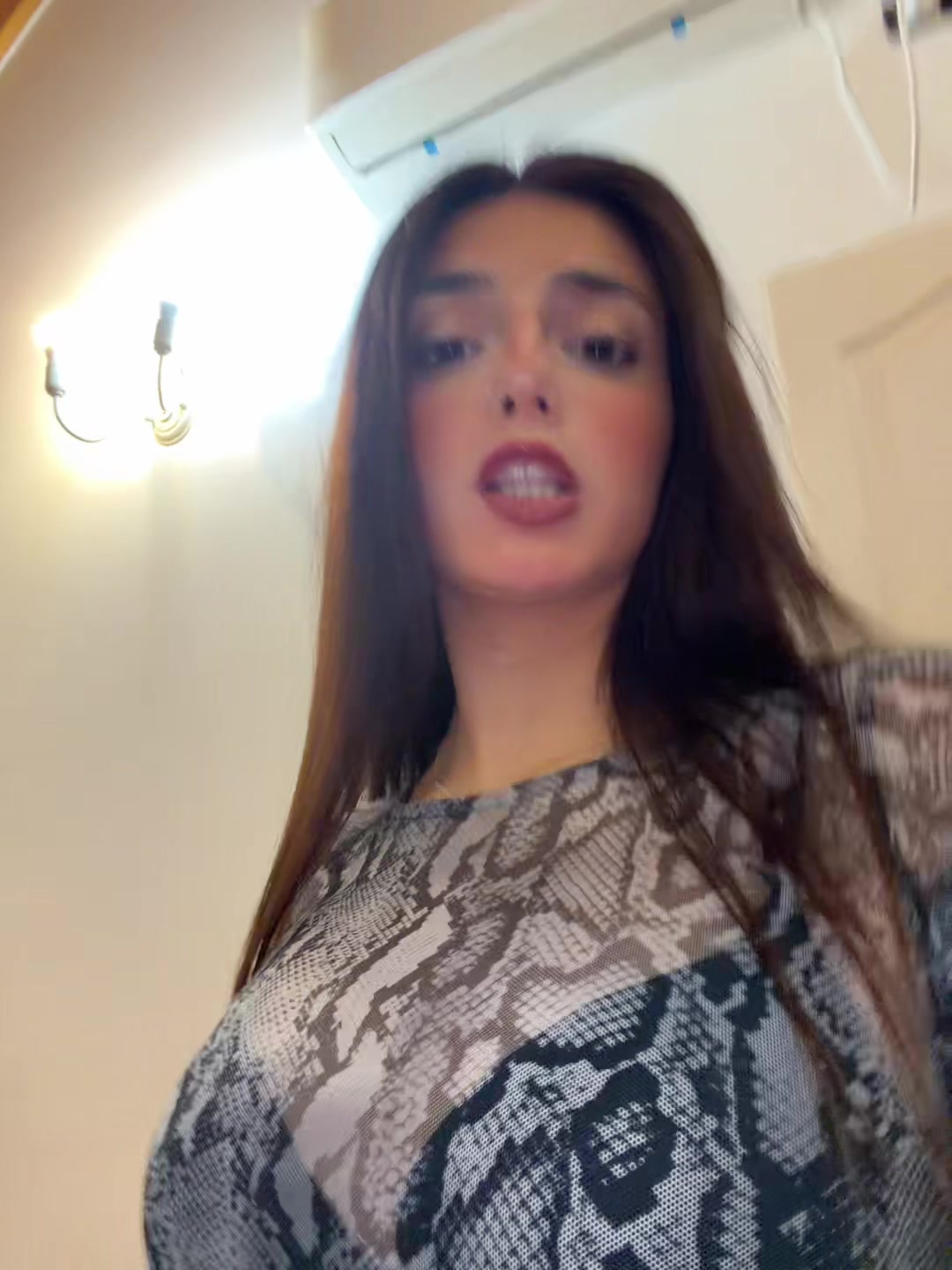 @sofia alfredi