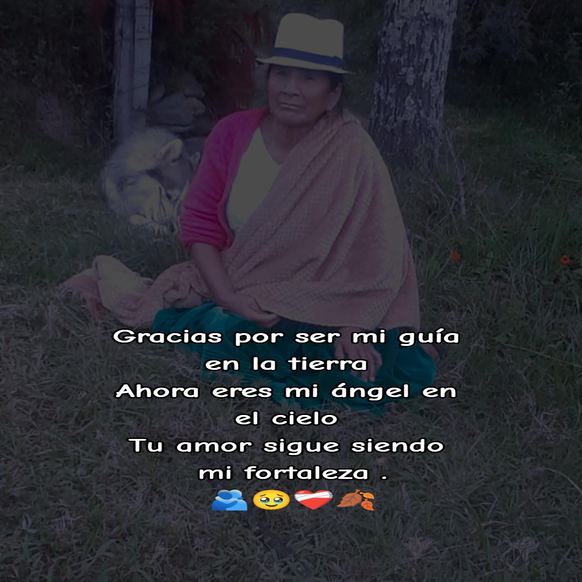 @Abigail 🇪🇨❤️