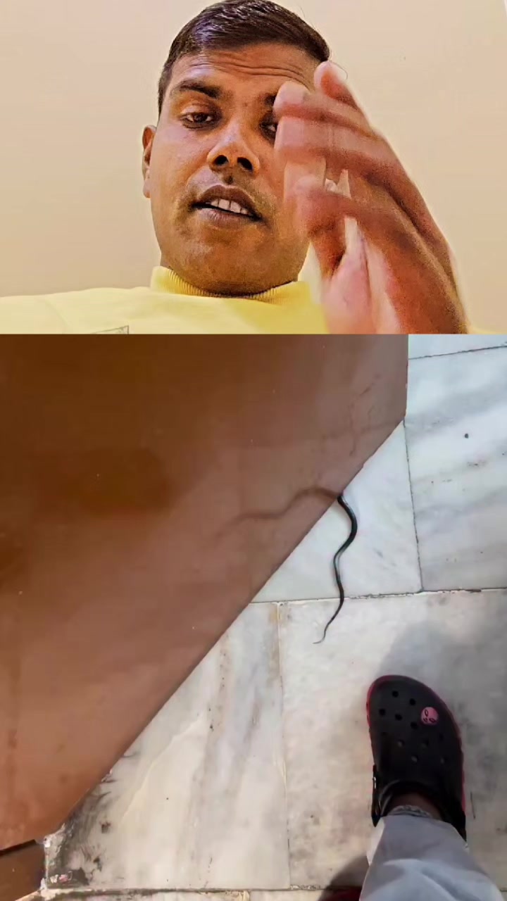@user17446384362