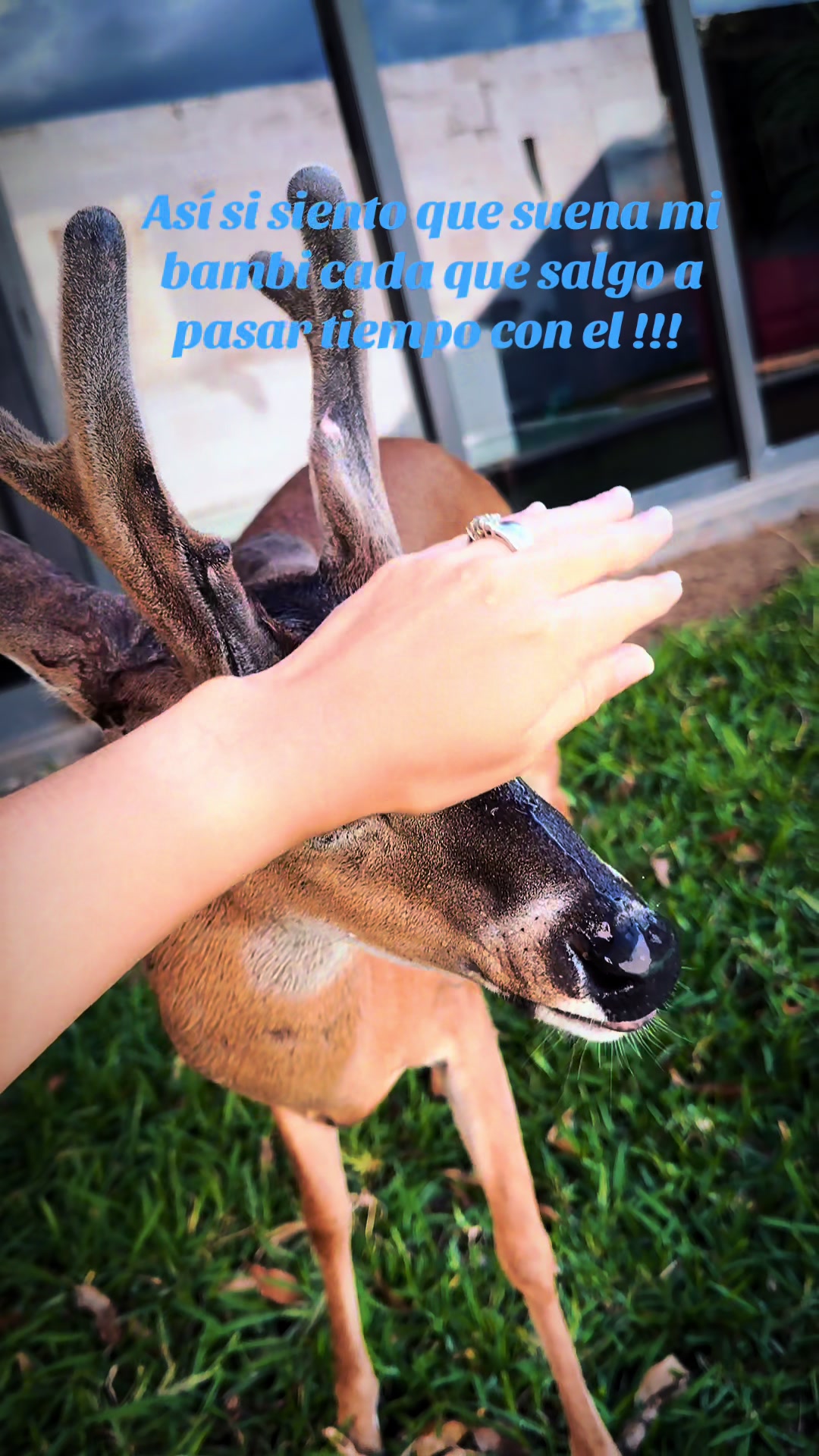 @Perlita