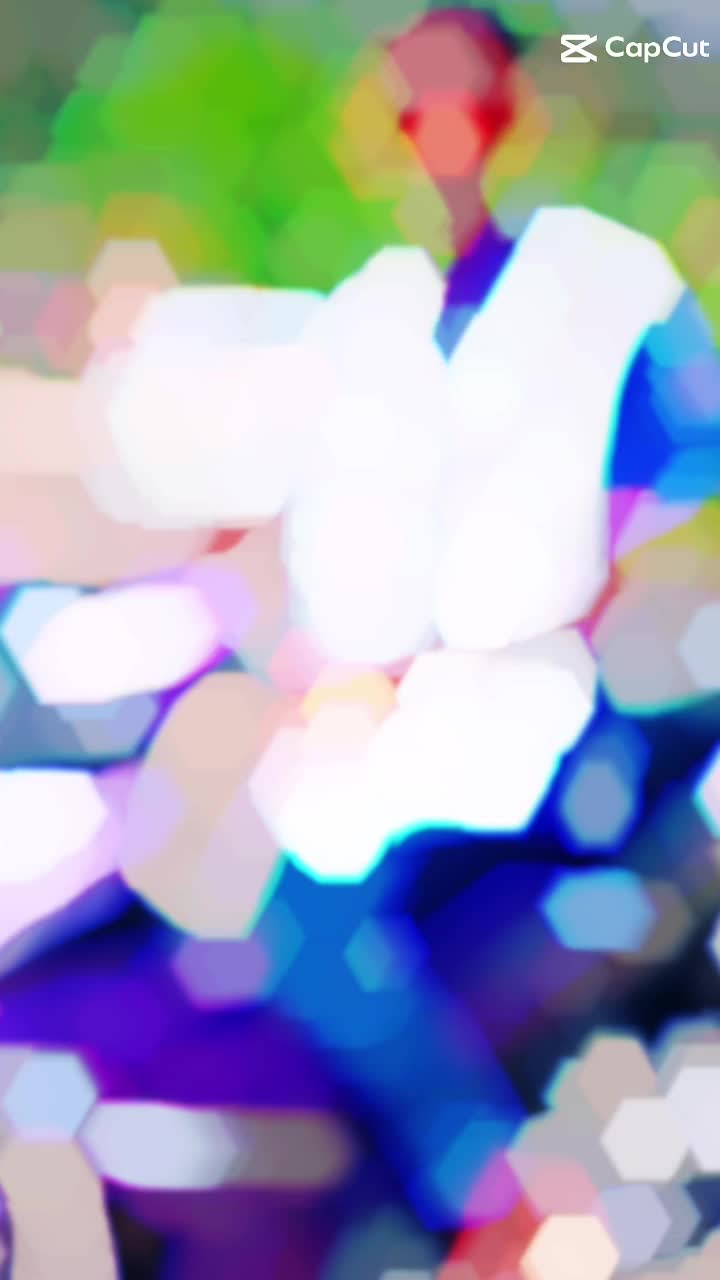 @桑托什💙🤍👑