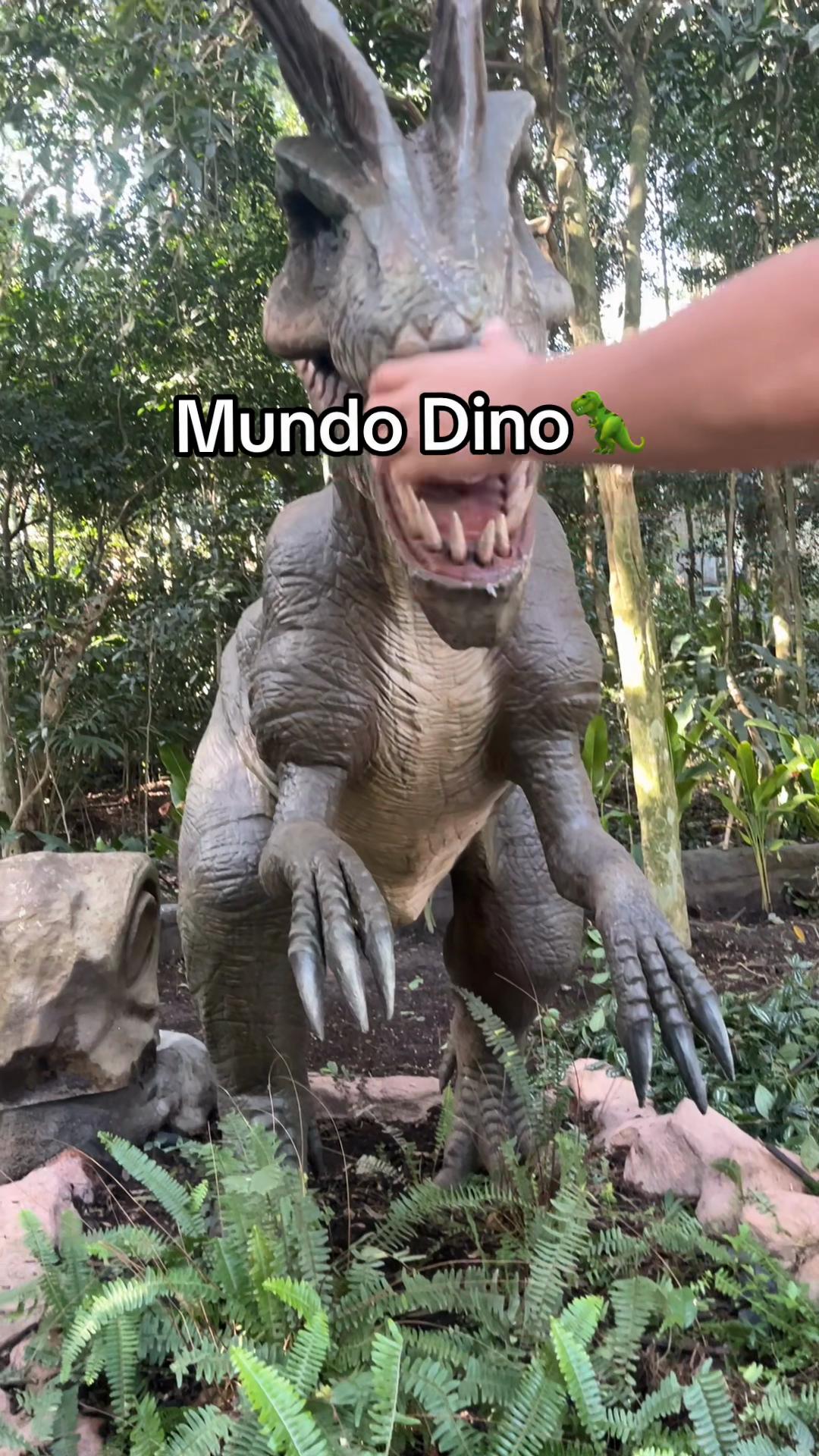 @Lizeth