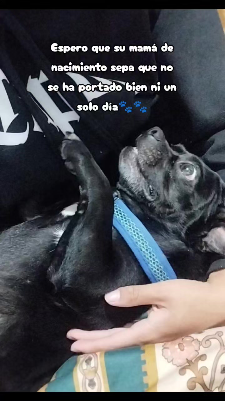 @Cristal Andrea ❥🦋