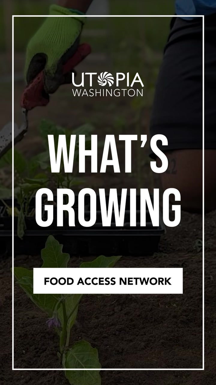 @UTOPIA Washington
