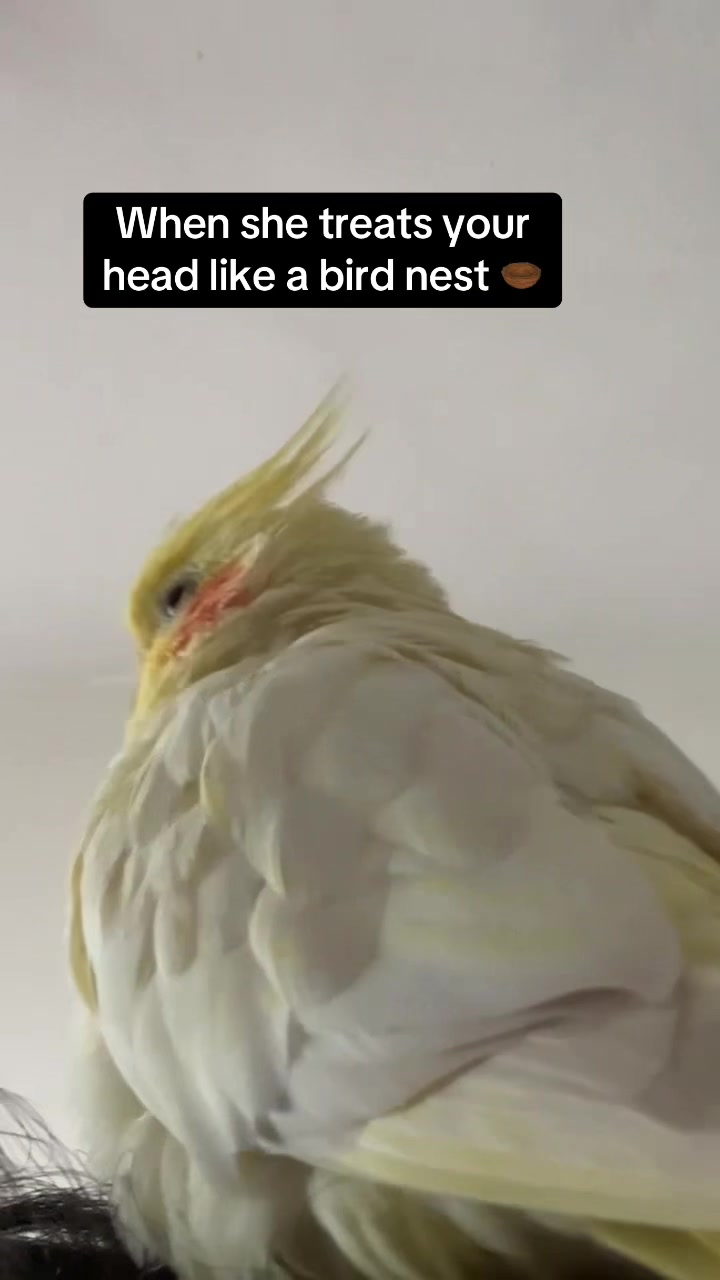 @Mariah🤍