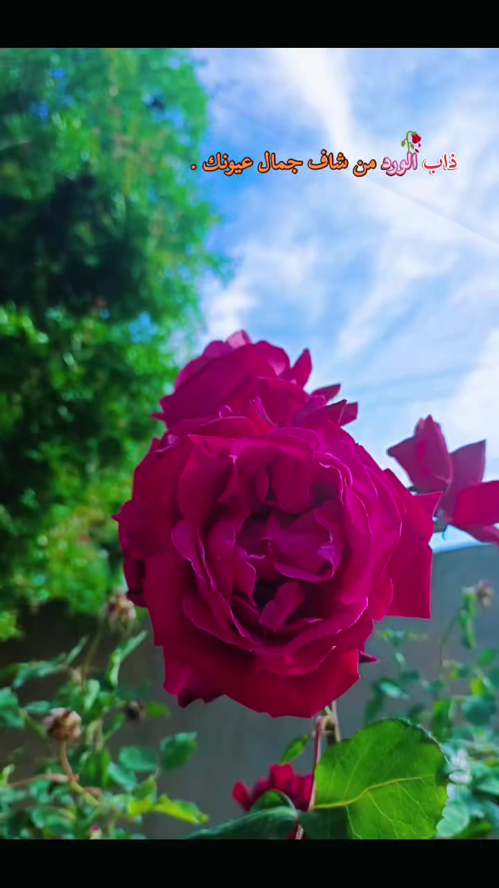 @☪️ابو طوفان ♓