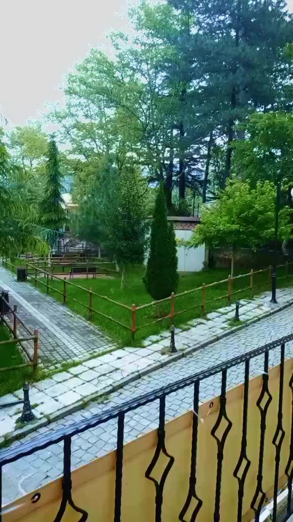 @55 Maviş Şerdan🧿