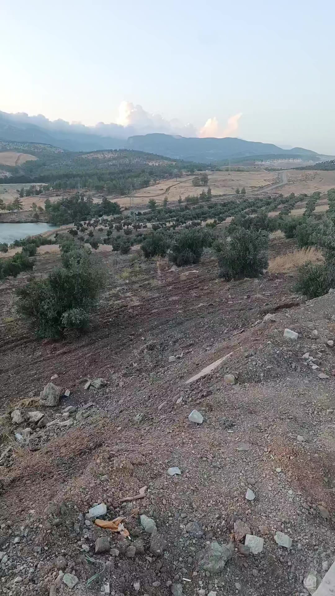 @Hakan Elitaş