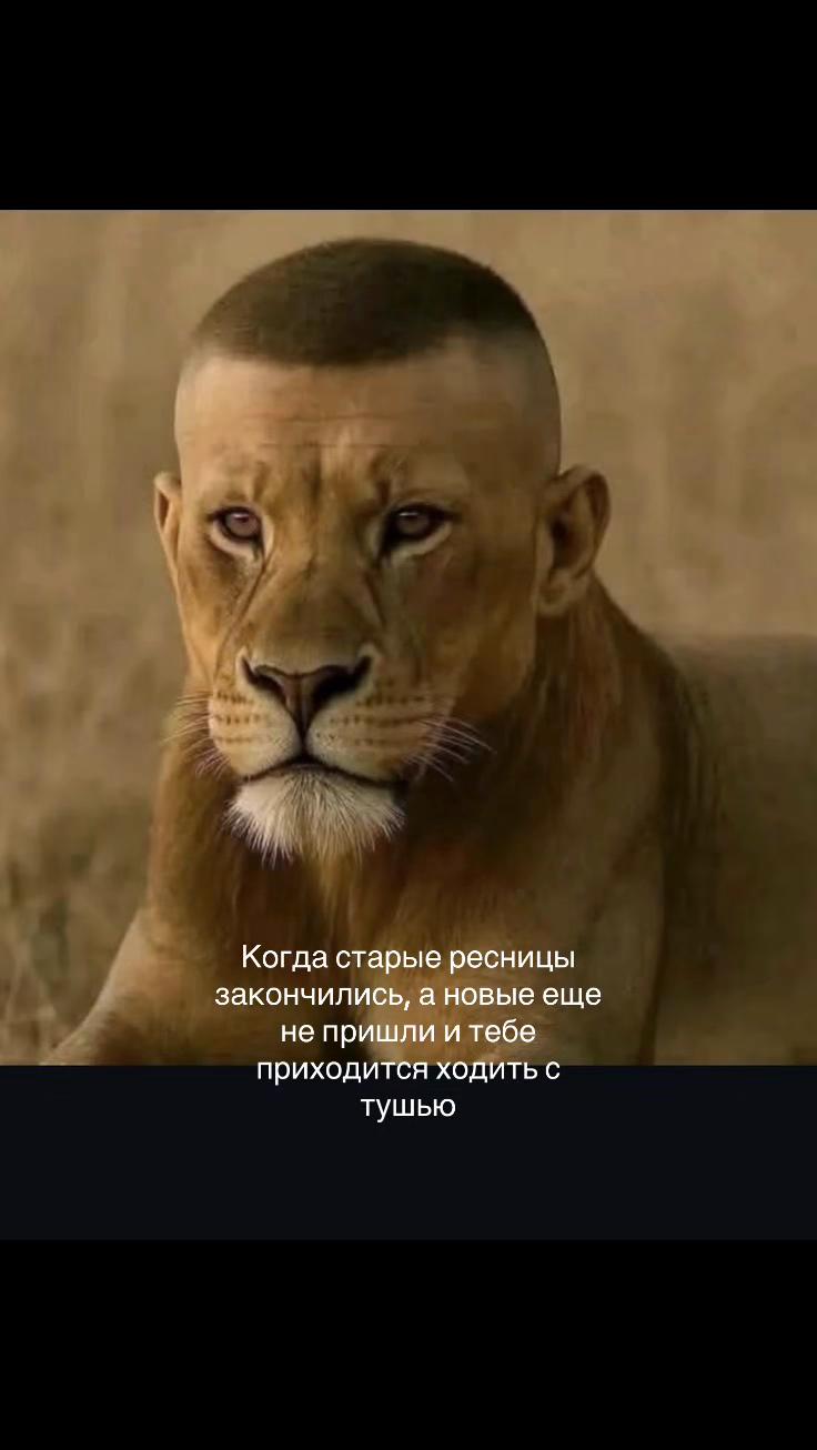 @тгк: Міленіум🍫