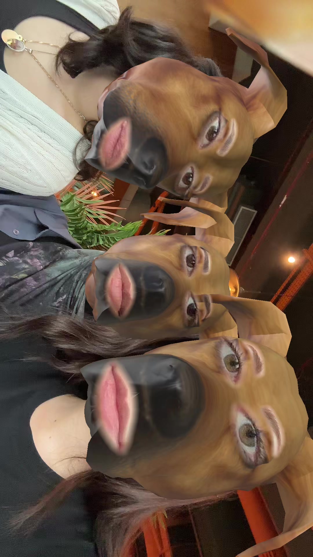 @Sakiz