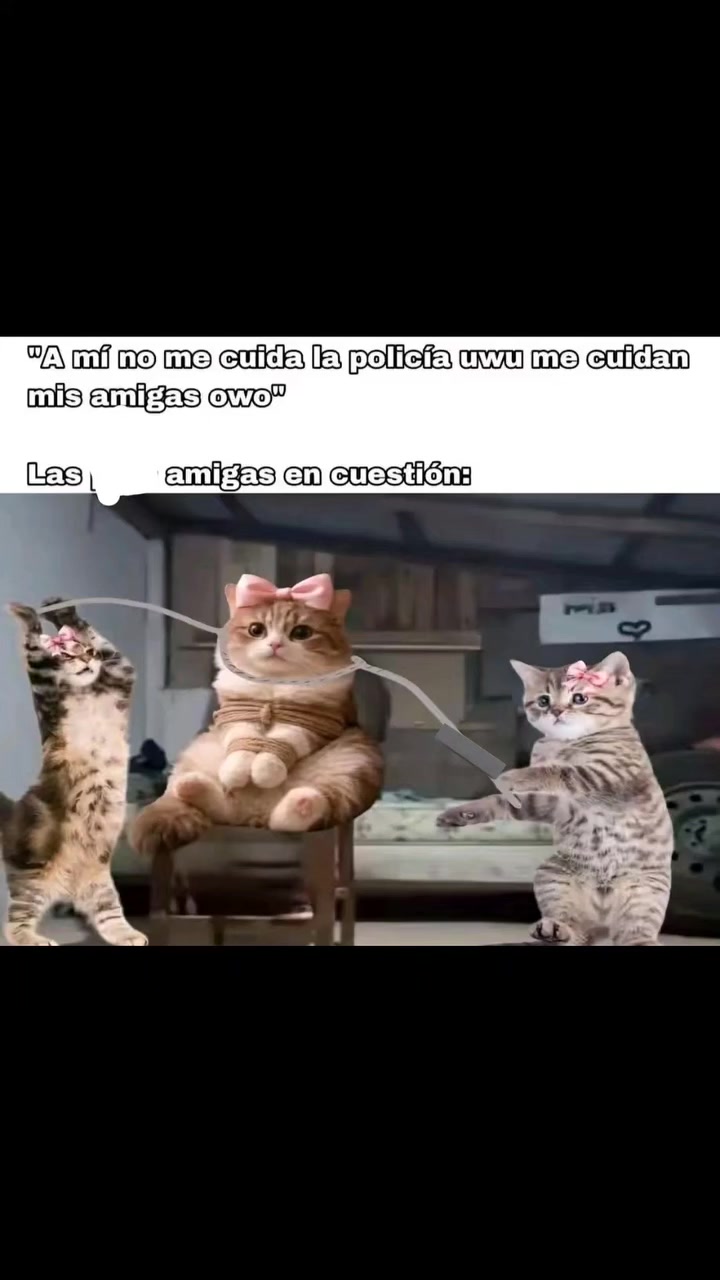 @Andy Mamarre