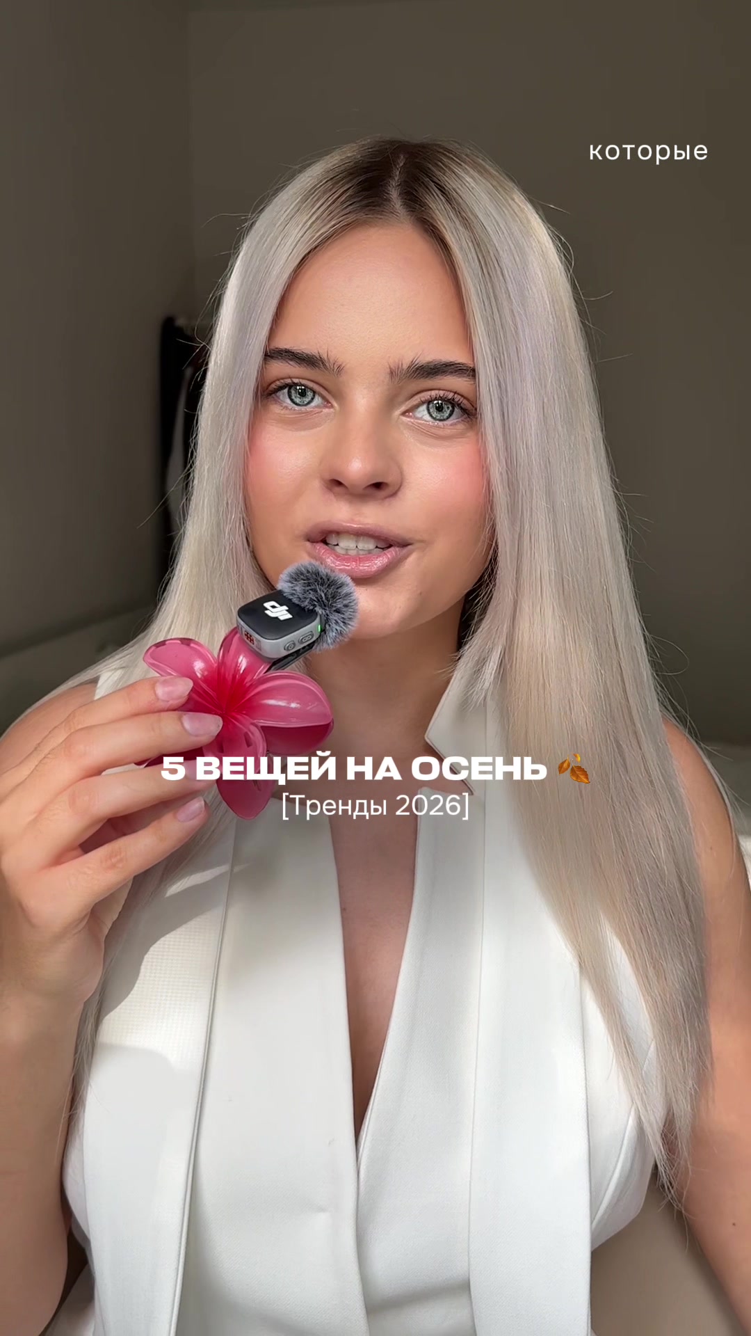 @Sofi Roysman