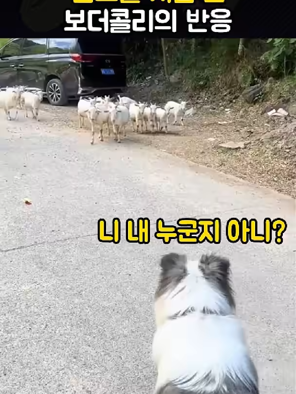 @개블리