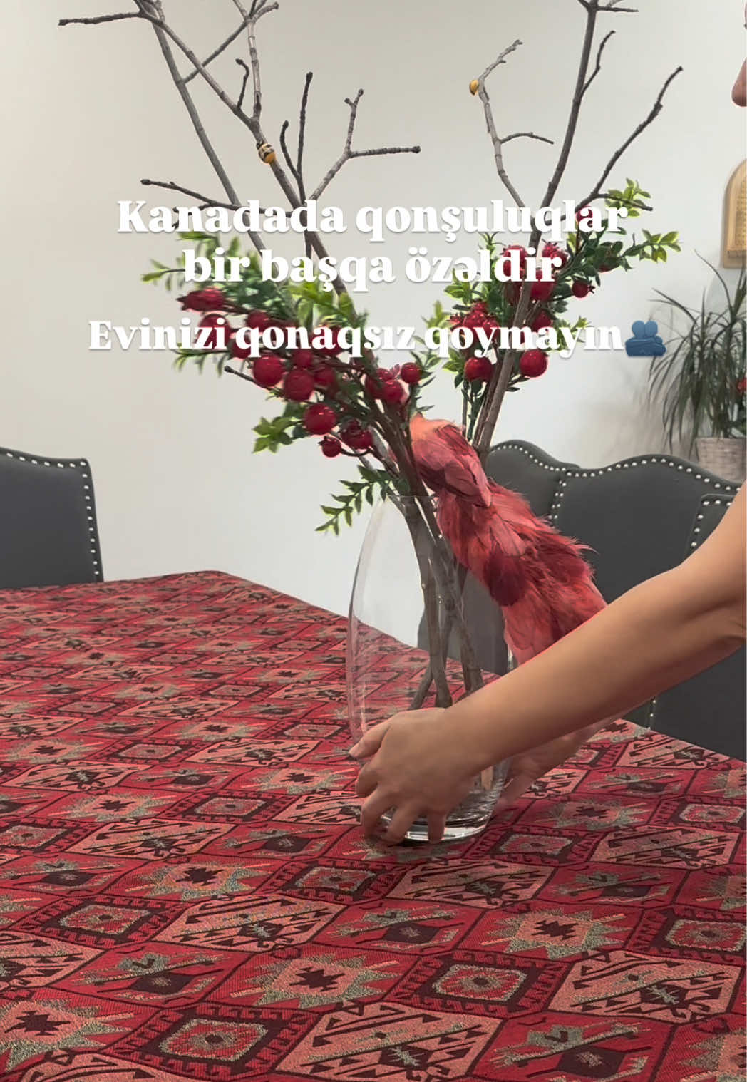 @Rolan Aysel 🇨🇦🇦🇿