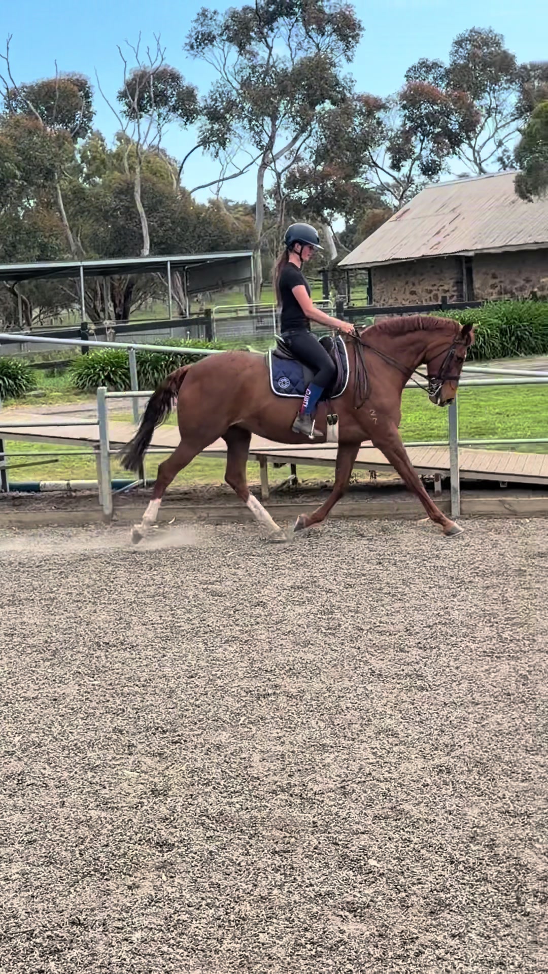 @🖤 Savs ponies🤍