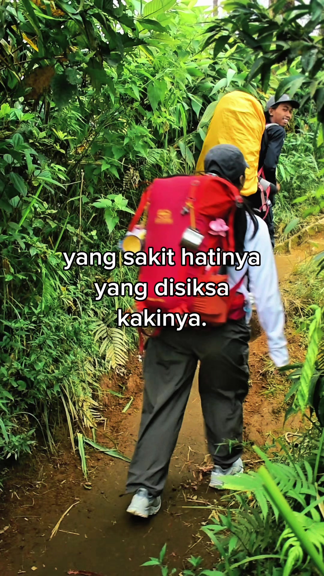 @anwar