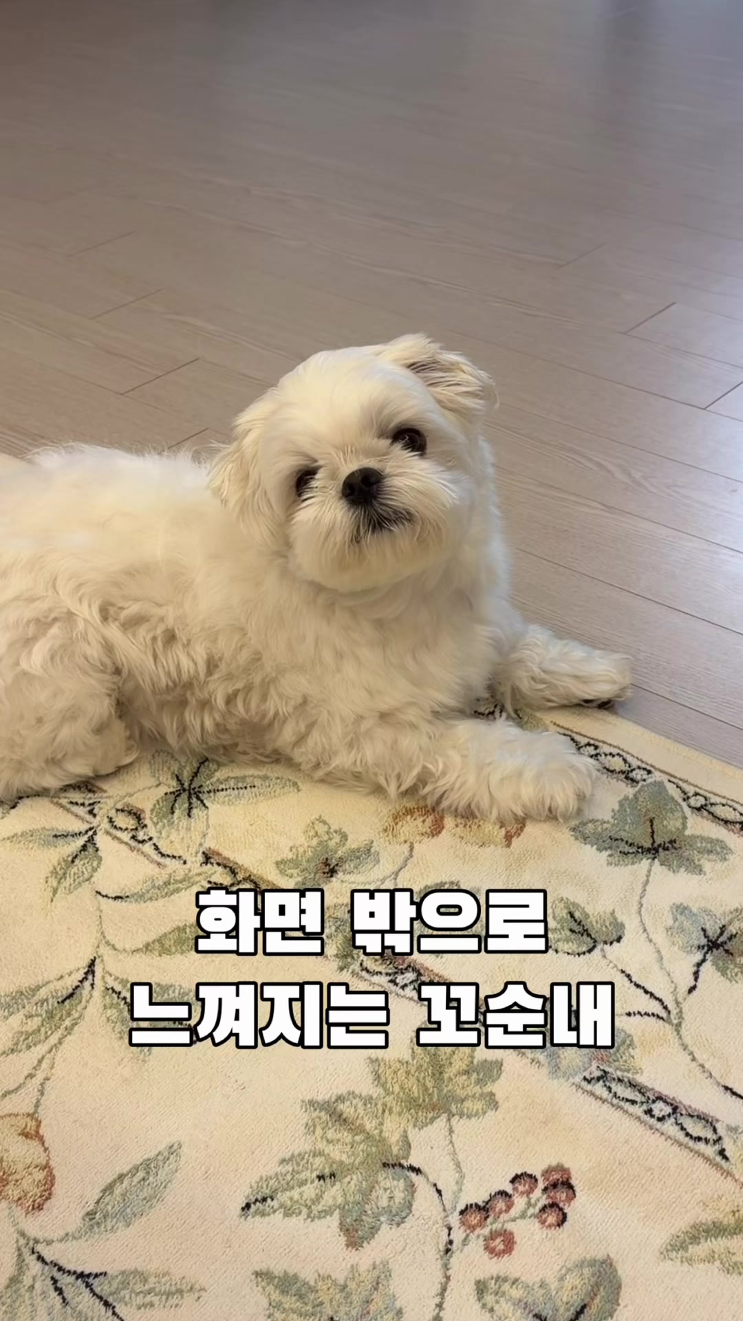 @박까까