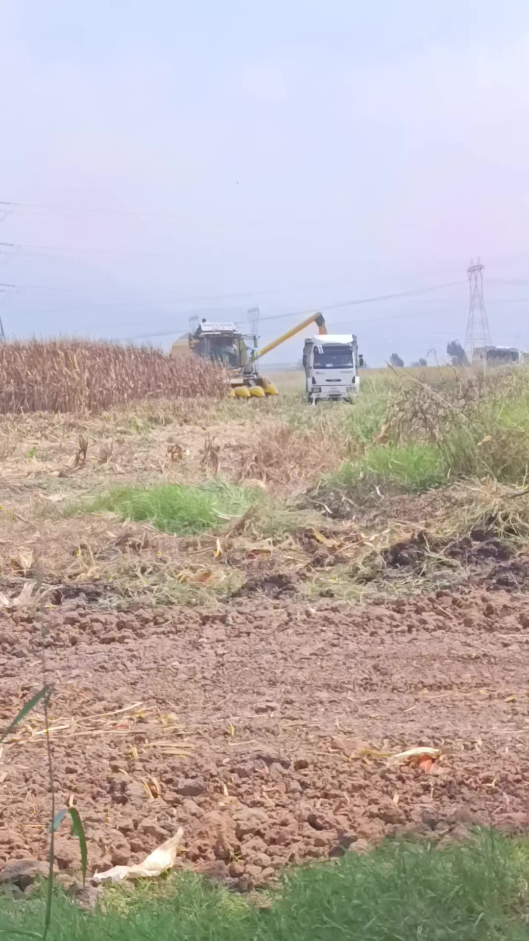 @ilyas Bayrambeğ