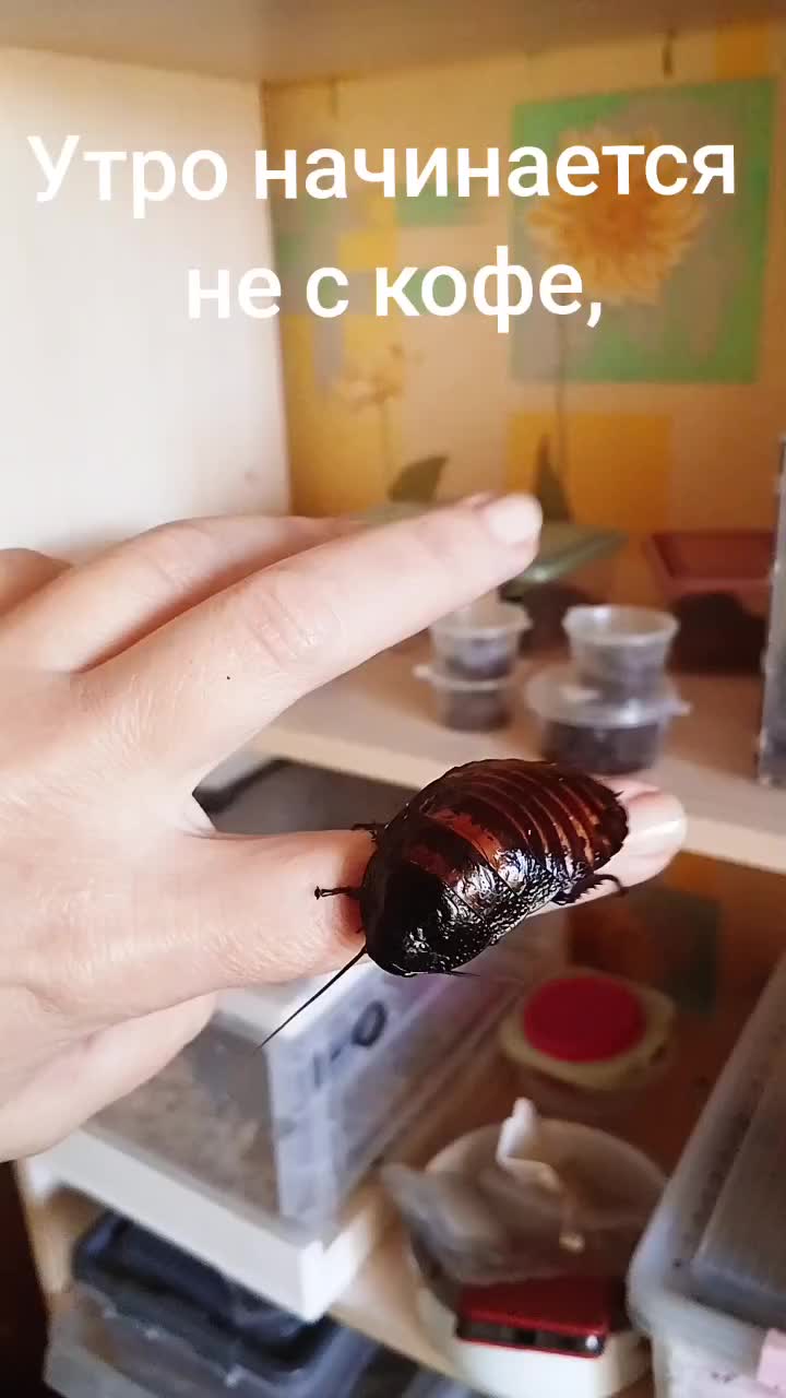 @Катя