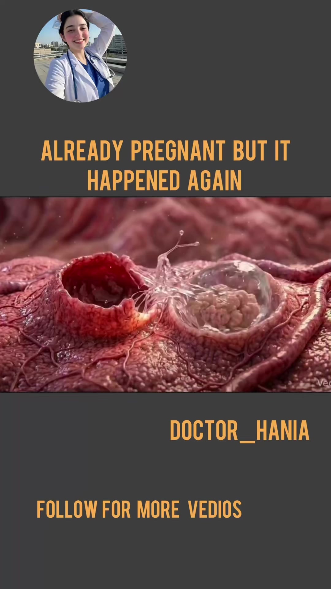 @Doctor Hania