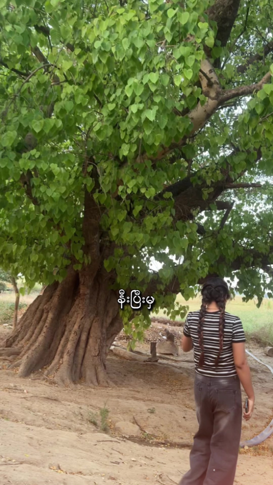 @đđâď¸
